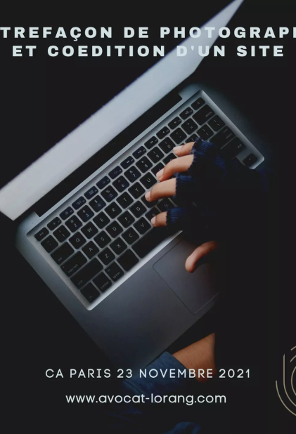 Contrefaçon de photographies et coédition d'un site