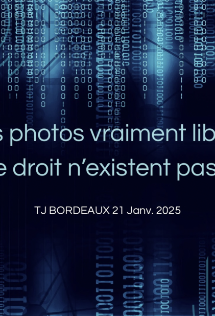 Petite image, gros dégâts  (TJ Bordeaux, 1re ch. civ., 21 janv. 2025, n° RG 22/07544)