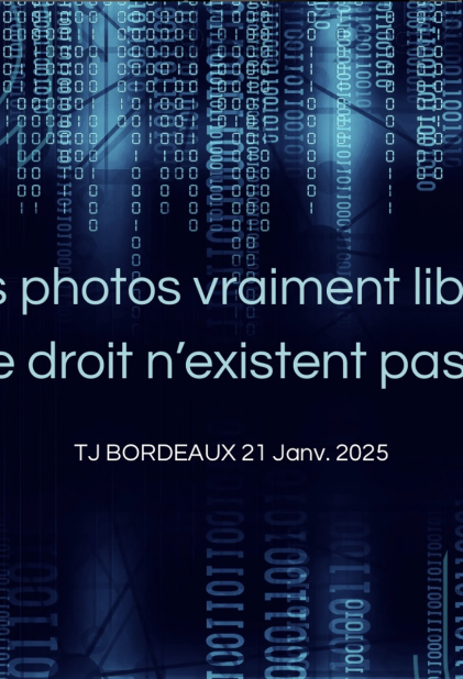 Petite image, gros dégâts (TJ Bordeaux, 1re ch. civ., 21 janv. 2025, n° RG 22/07544)